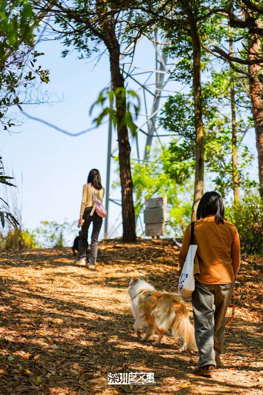 今日深圳｜聽說，羅芳郊野徑新開了個“狗狗圖書館”