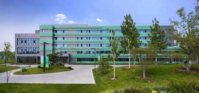 賞花親水、美食購物！跑完副馬，慢享春日好時光