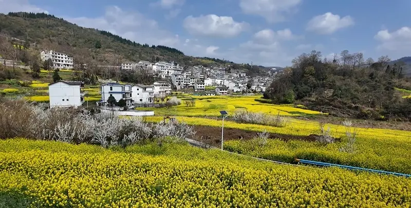 黃果樹旅遊區：避暑旅居建設提速 鄉村振興業態升級