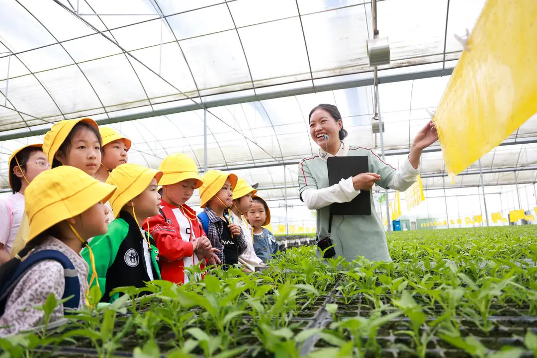蔬菜園裡有什麼？有60個耍春假的小學生｜圖集