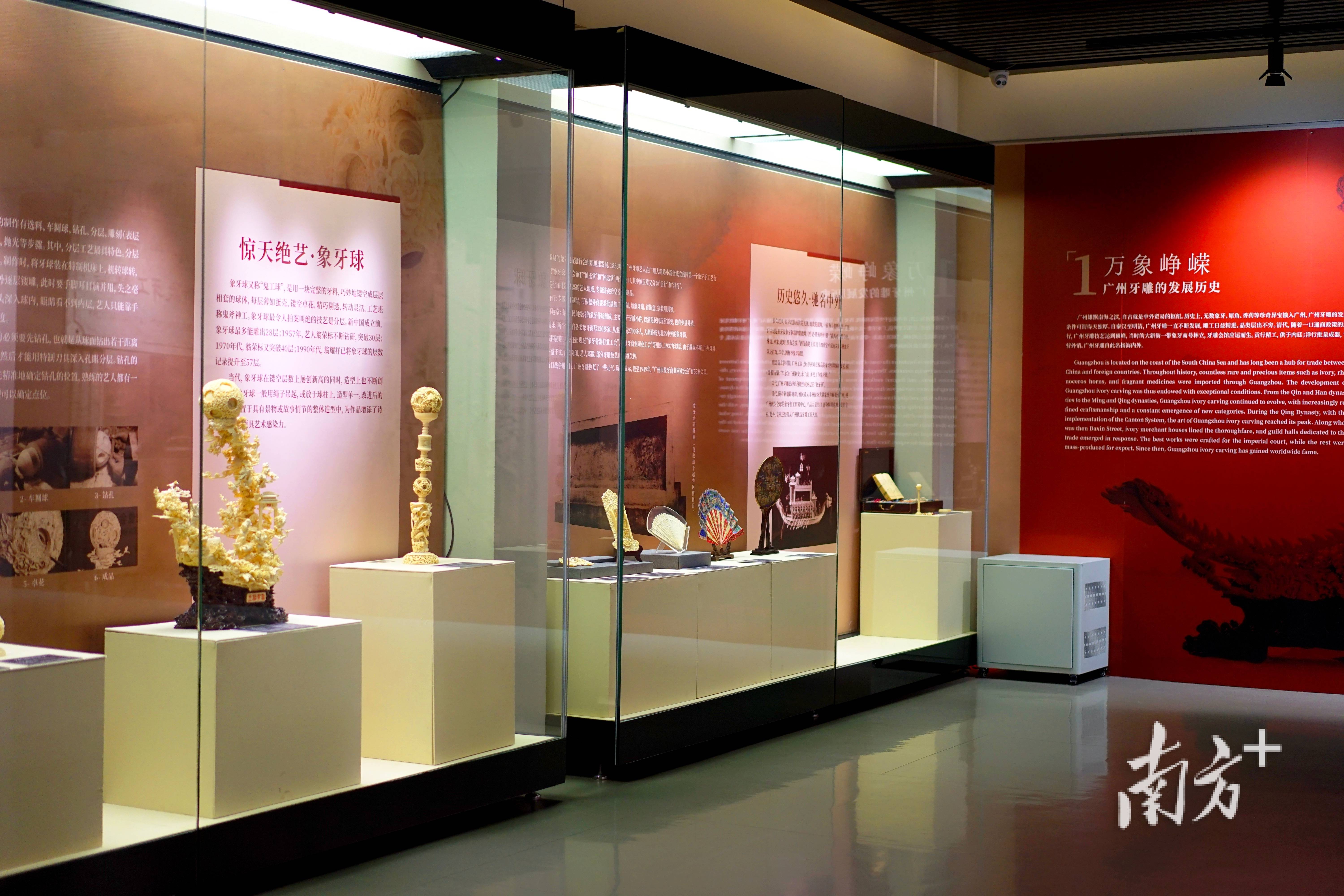 嶺南非遺走進河北！“廣州象牙雕刻展”在廊坊博物館開幕