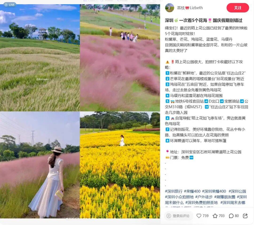 緊急收藏！五一深圳賞花寶地大揭秘，免費又好拍！