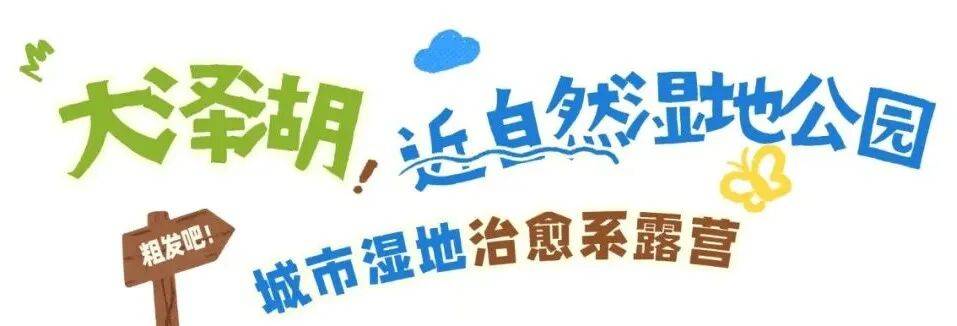 一鍵收藏！望城露營四大寶藏地，建議馬上出發