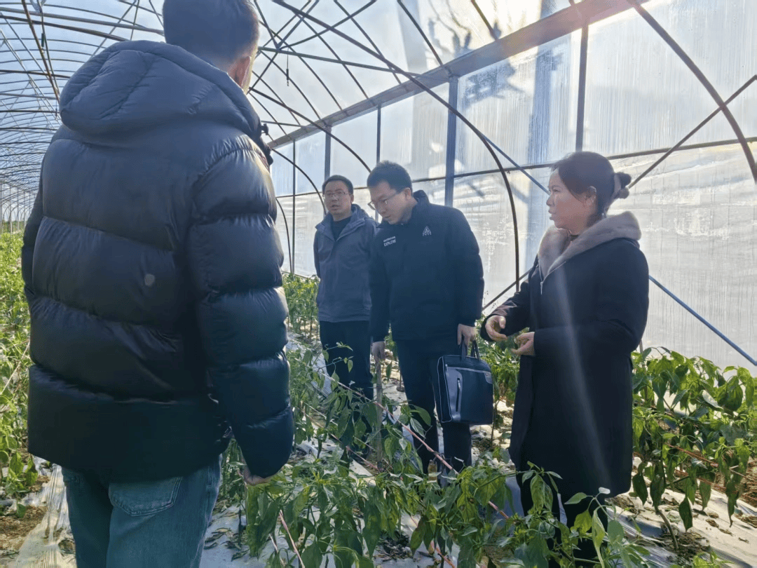 把論文種在春天裡：根扎泥土 枝向雲端