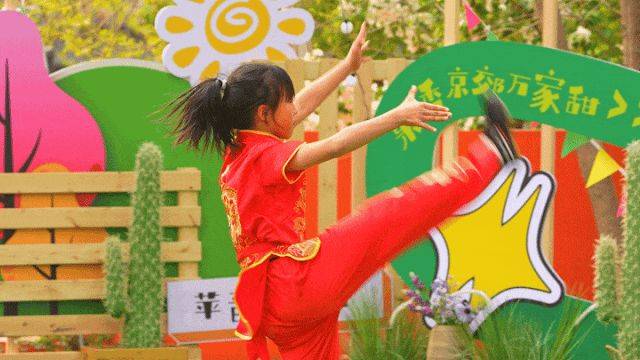 崔村鎮專場來襲，絕技出圈、美景美食，看完直接心動