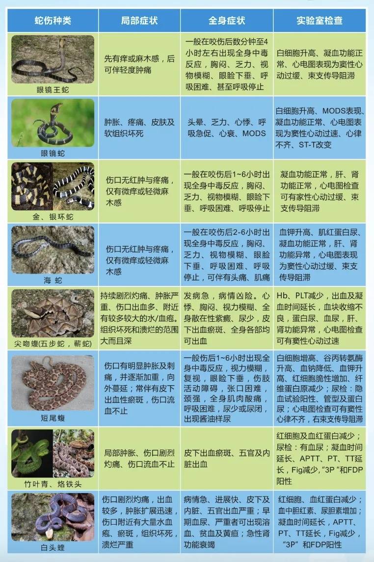 驚險自救！53歲阿姨被眼鏡蛇咬傷，徒手活捉2米毒蛇帶到醫院……