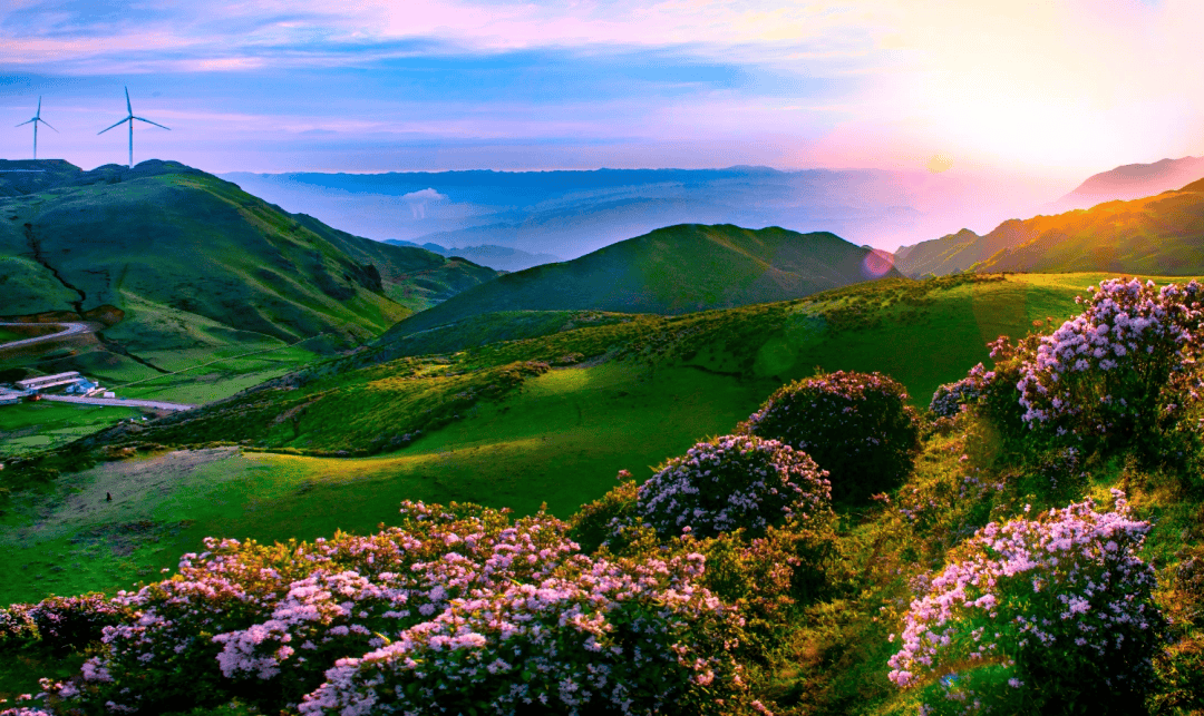 旅遊變旅居｜避暑旅居，貴州大草原別錯過~