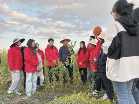 中國農業大學張福鎖：把科研搞在農田裡，把論文寫在大地上
