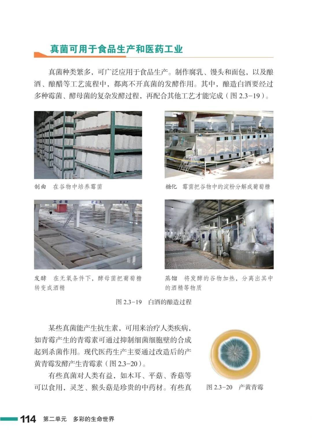 濟南版七年級生物上冊電子課本(2026新教材)