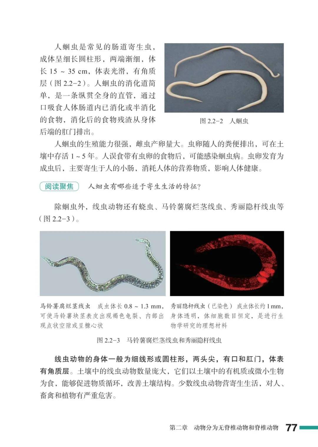 濟南版七年級生物上冊電子課本(2026新教材)