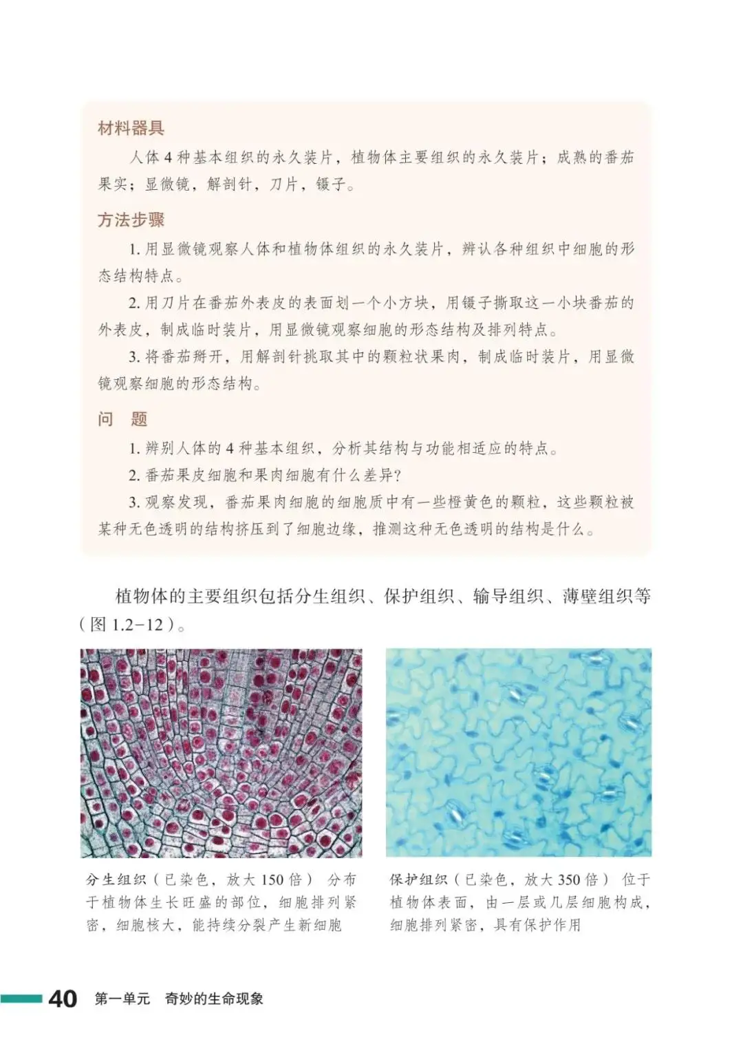 濟南版七年級生物上冊電子課本(2026新教材)