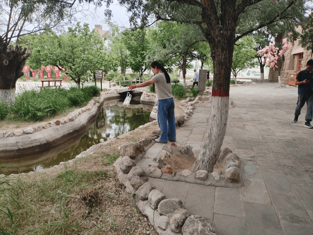 文明旅遊·反面曝光｜對不文明行為說“不”