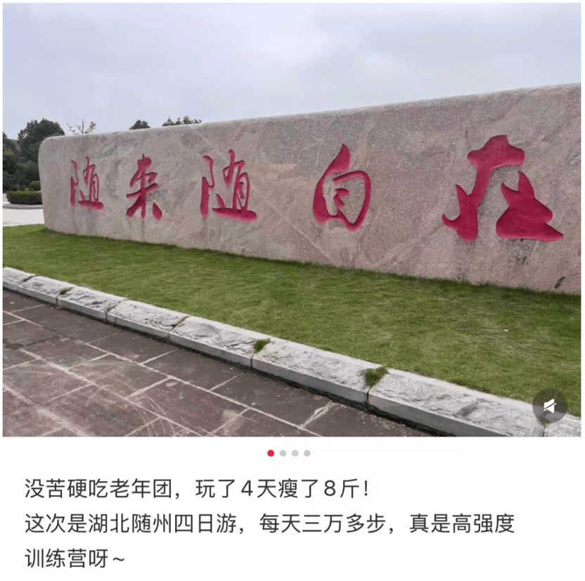 00後，整頓中老年旅遊團