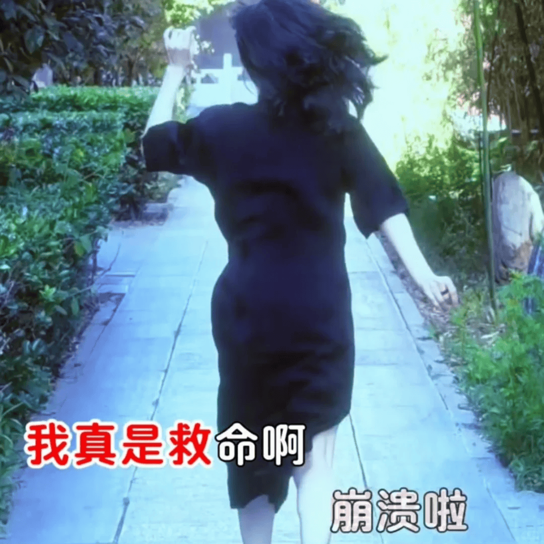 歐洲高溫，美國洪水颶風，留學生都在哪裡吃什麼苦？