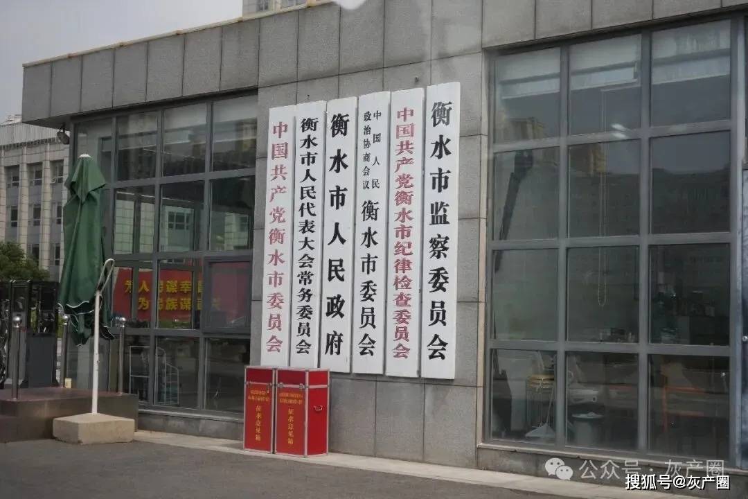 20億打造的超級中學“4名官員佔股49%”，衡水紀委介入調查