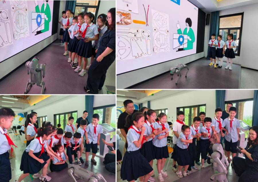 合肥市南國花園小學：探索科技奧秘 點亮科學夢想