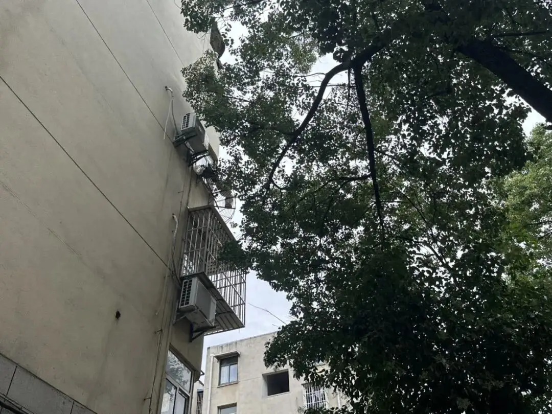 樹木遮光影響居民生活！“馬上辦”快速響應